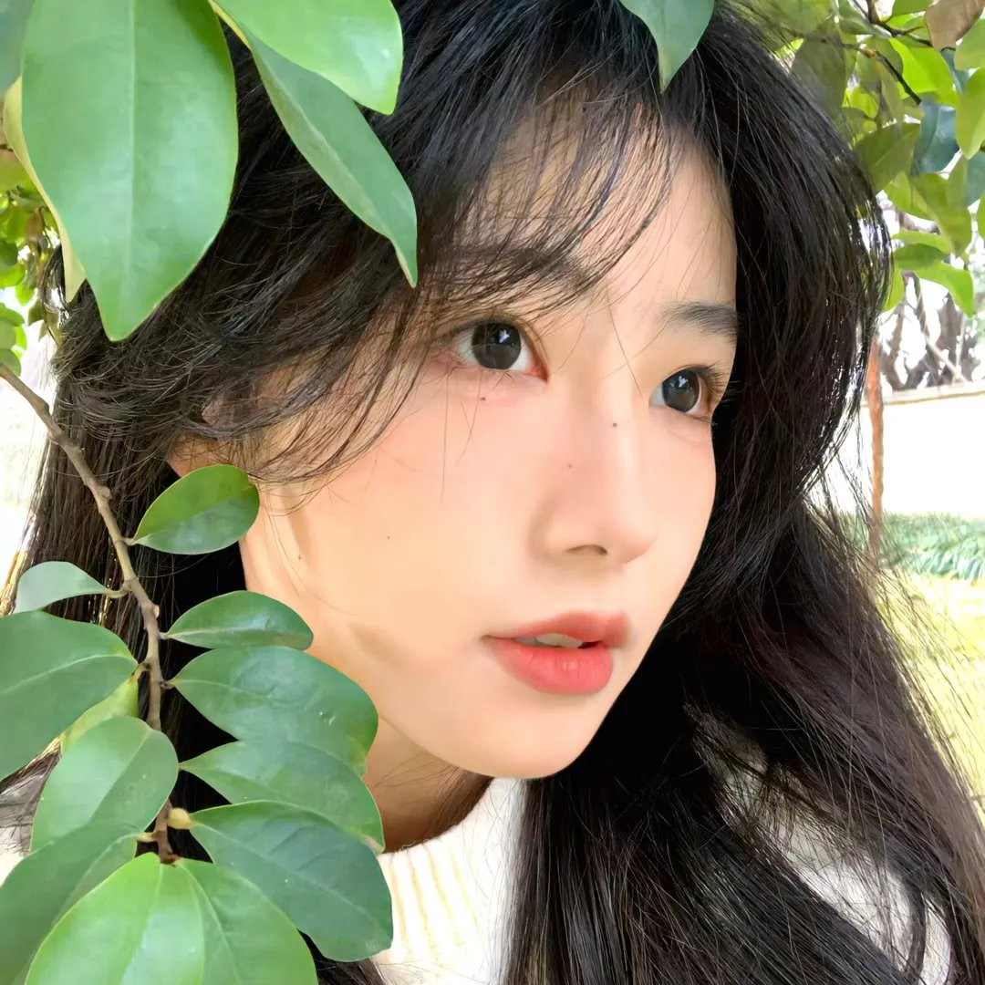 盲少爷的小女仆2023
